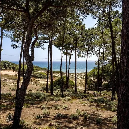 Sunny Acacia * Vale do Lobo