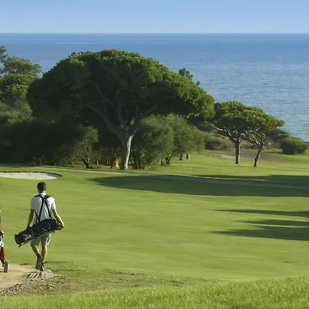 Sunny Acacia Vale do Lobo