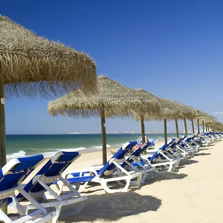 דירה Sunny Acacia