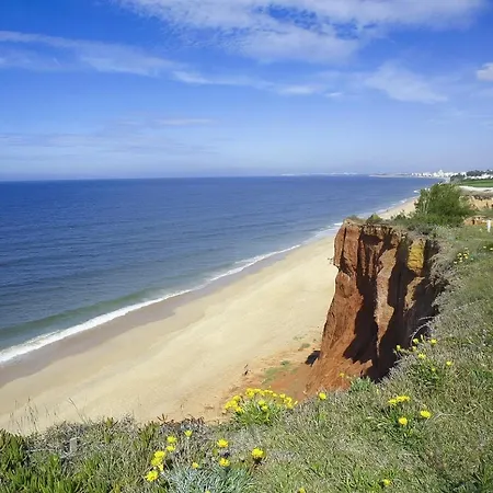 Sunny Acacia Vale do Lobo